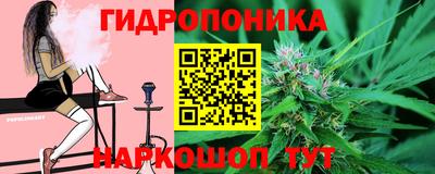 крисы Коммунар