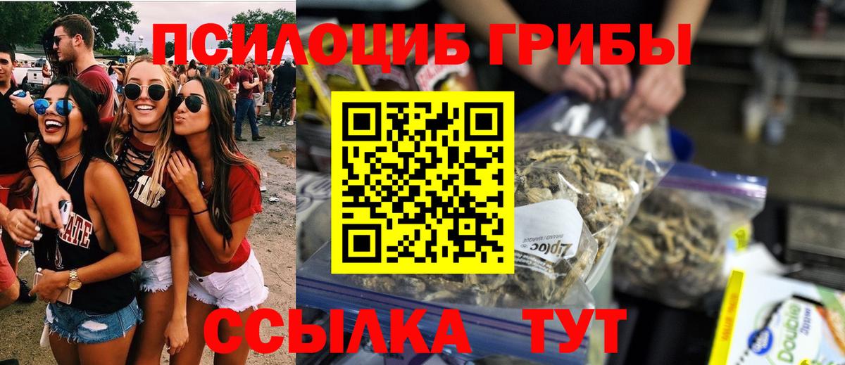 Псилоцибиновые грибы мухоморы Карачаевск
